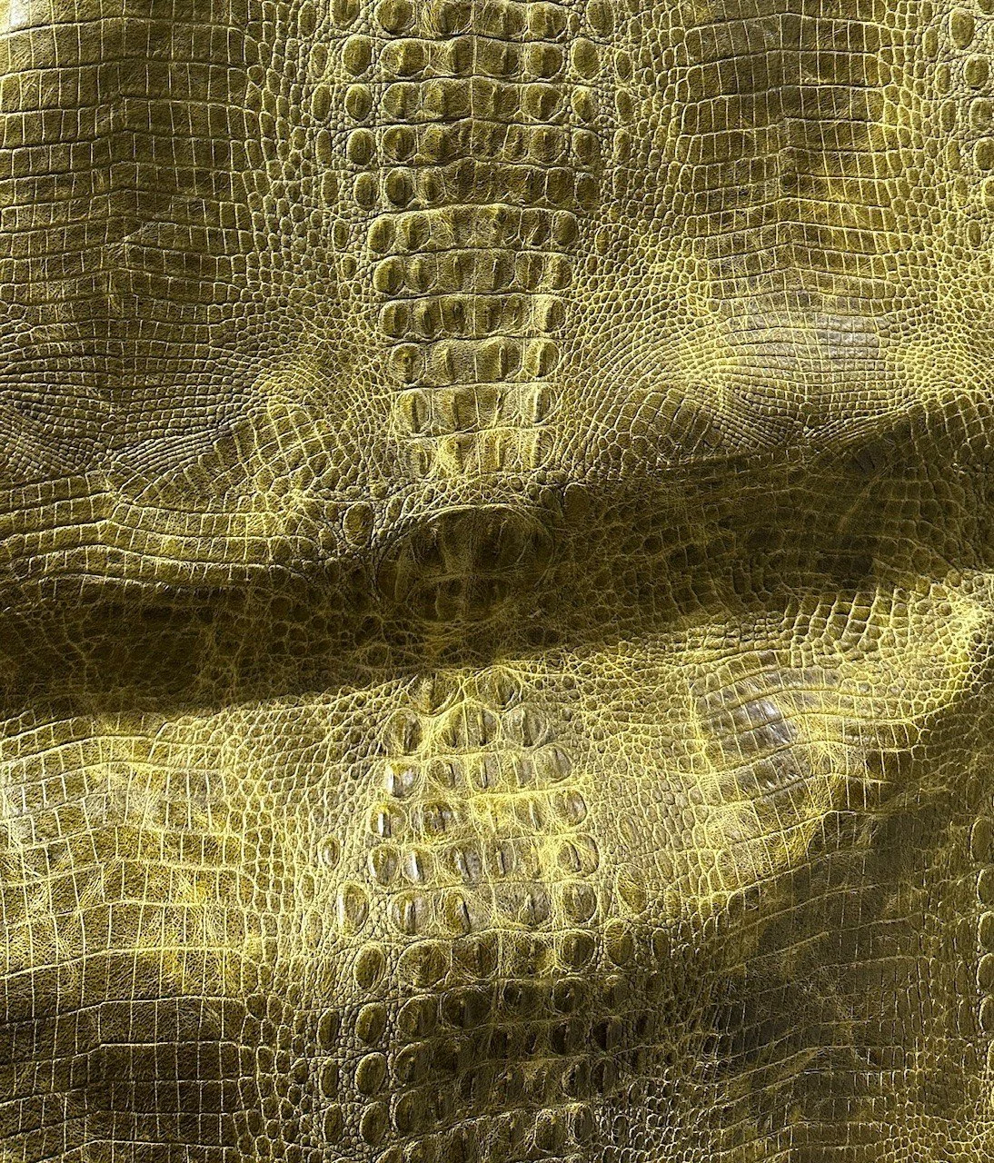 Gator Sierra Avocado