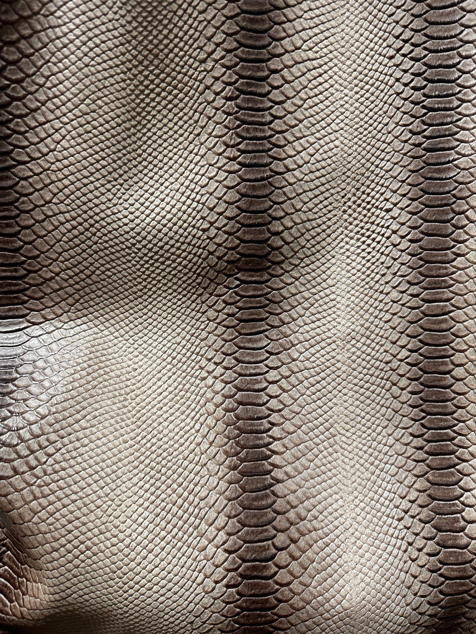 Snake Taupe Brown