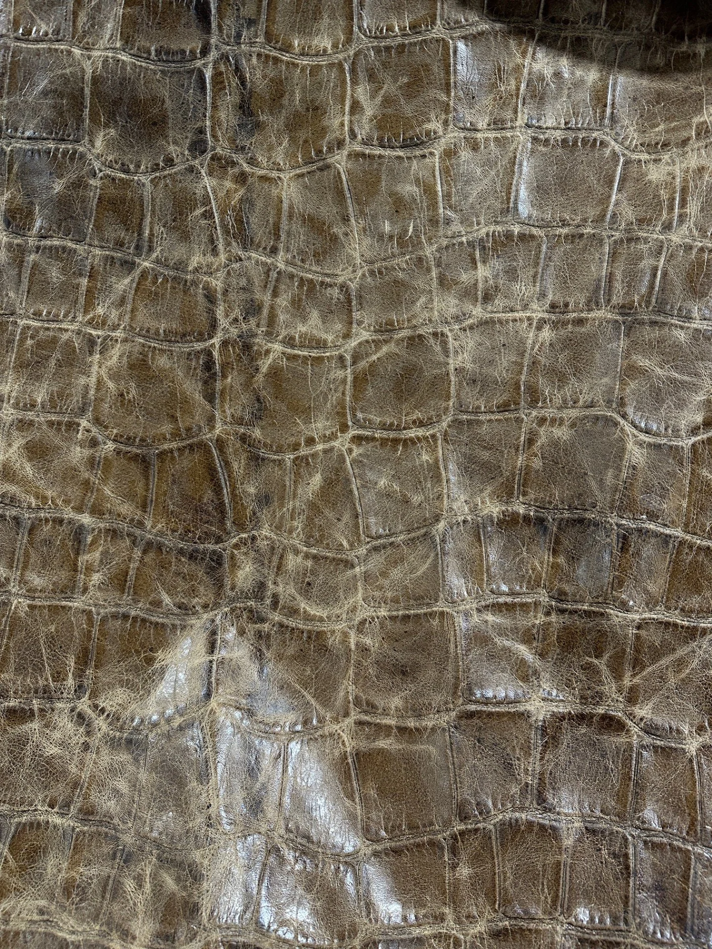 Jumbo Croc Sierra Taupe