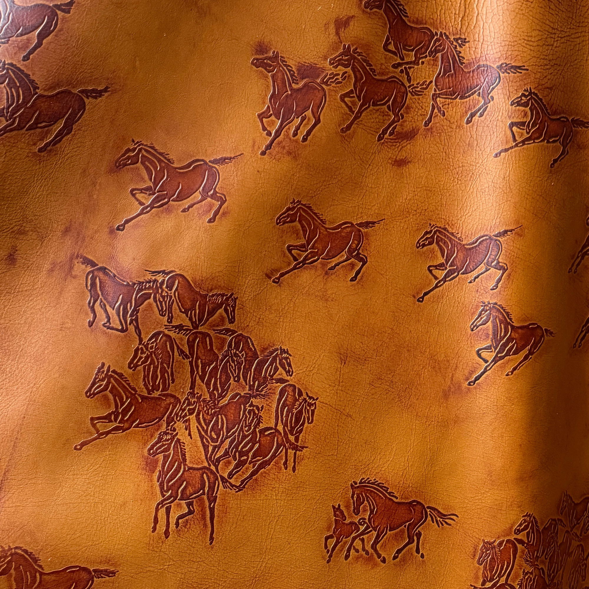 Horses Saddle