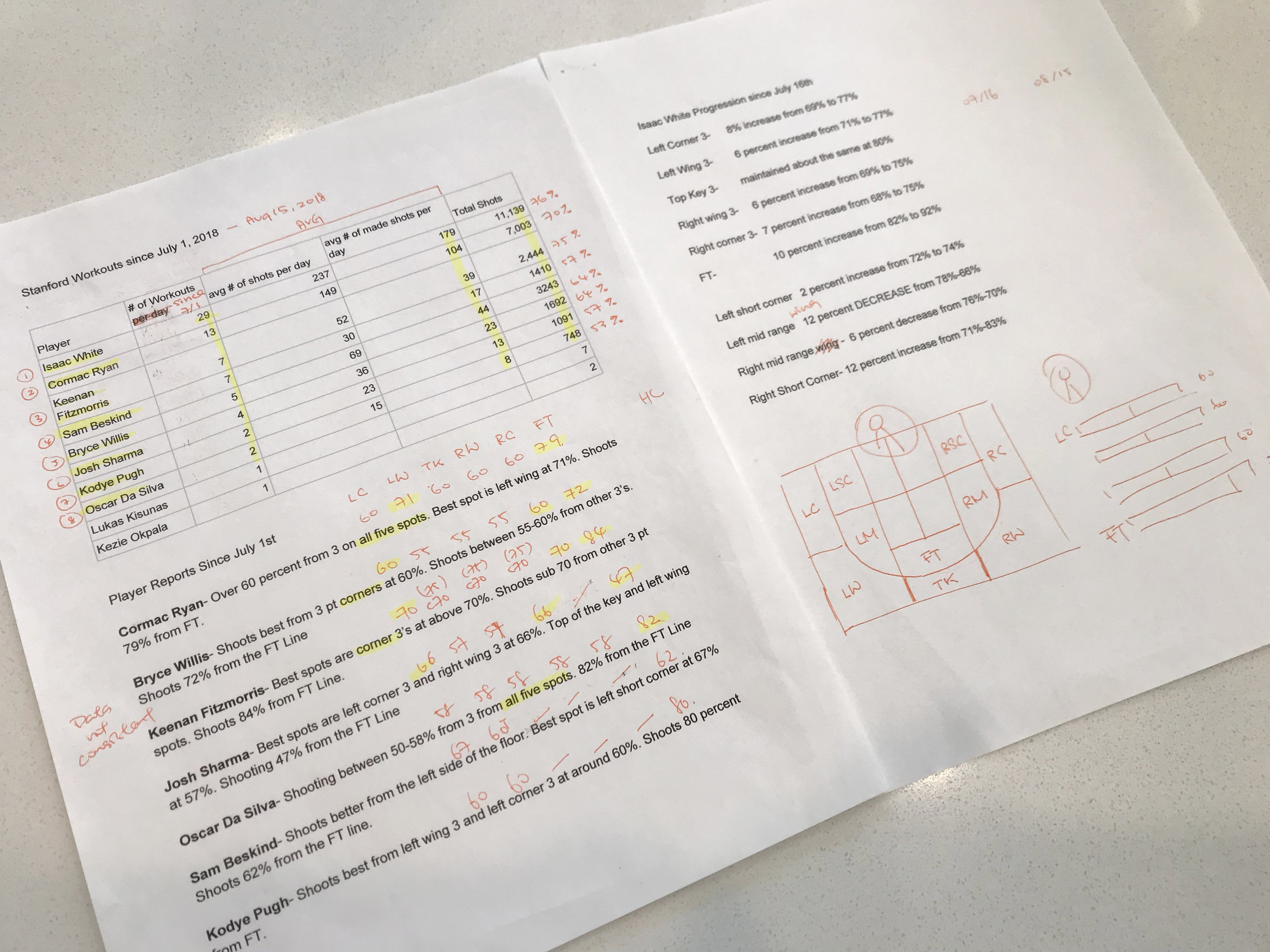 Initial Brief of the workouts data