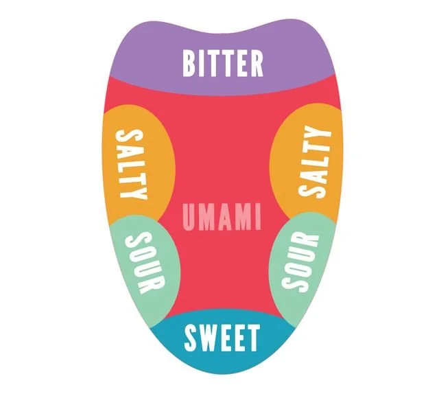 umami.jpeg