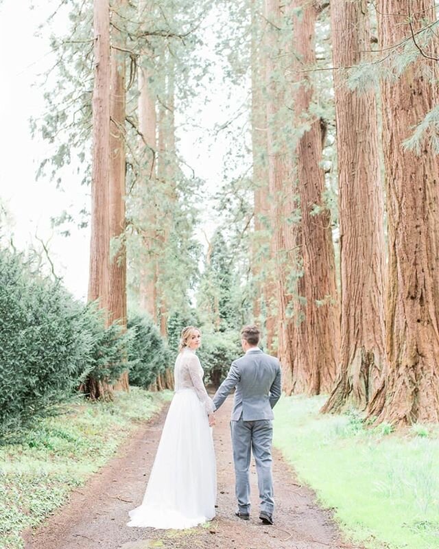 Who doesn't love a good tree-lined path 😍
.
Photography: @yll_weddings
Planning + Design: @kimberleyrosedesigns
Floral Design: @cabbagewhiteflowers
Venue: @patricksbarnsussex
Bridal wear: @ouimadam1
Cake: @cakesandleaves
Stationery: @mathildalundin
