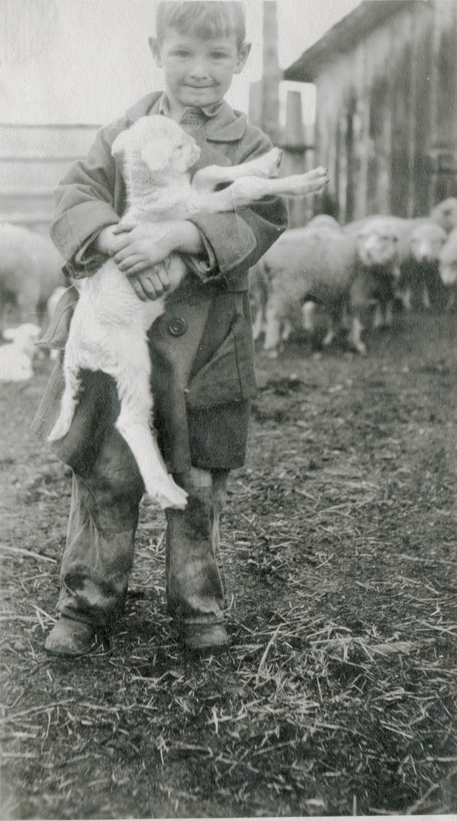My father as a boy, lambing on the ranch..jpg