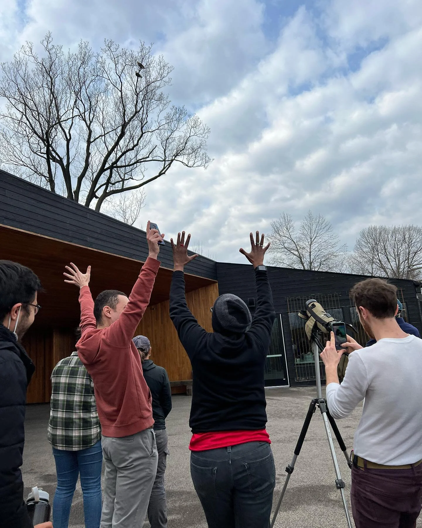 We had a visit from a pair of Philadelphia Eagles today! When the call went out in the office that one was in the tree out front, every staff member that was available got out their seats for the good omen for Sunday. And then, while we were taking p