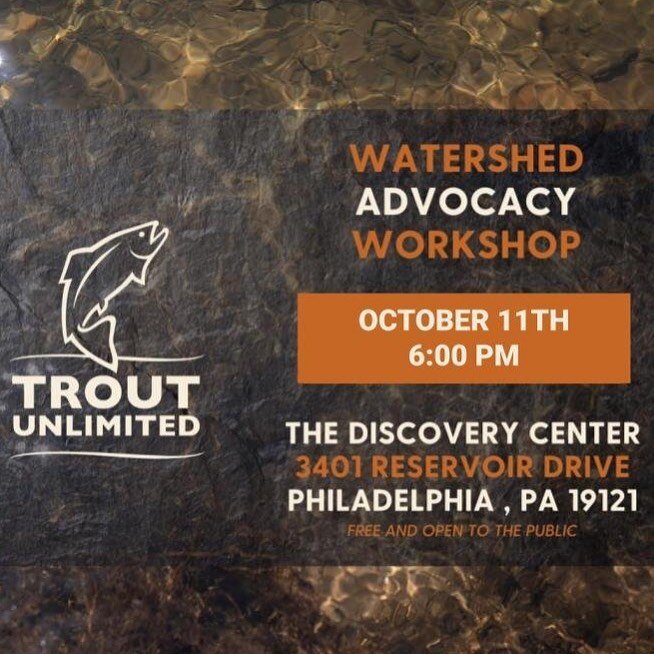 Interested in learning how you can advocate for your community and local waterways? Join us tomorrow, October 11th, for a workshop in partnership with @troutunlimited! The workshop will start at 6:00 here at The Discovery Center. You can sign up at t