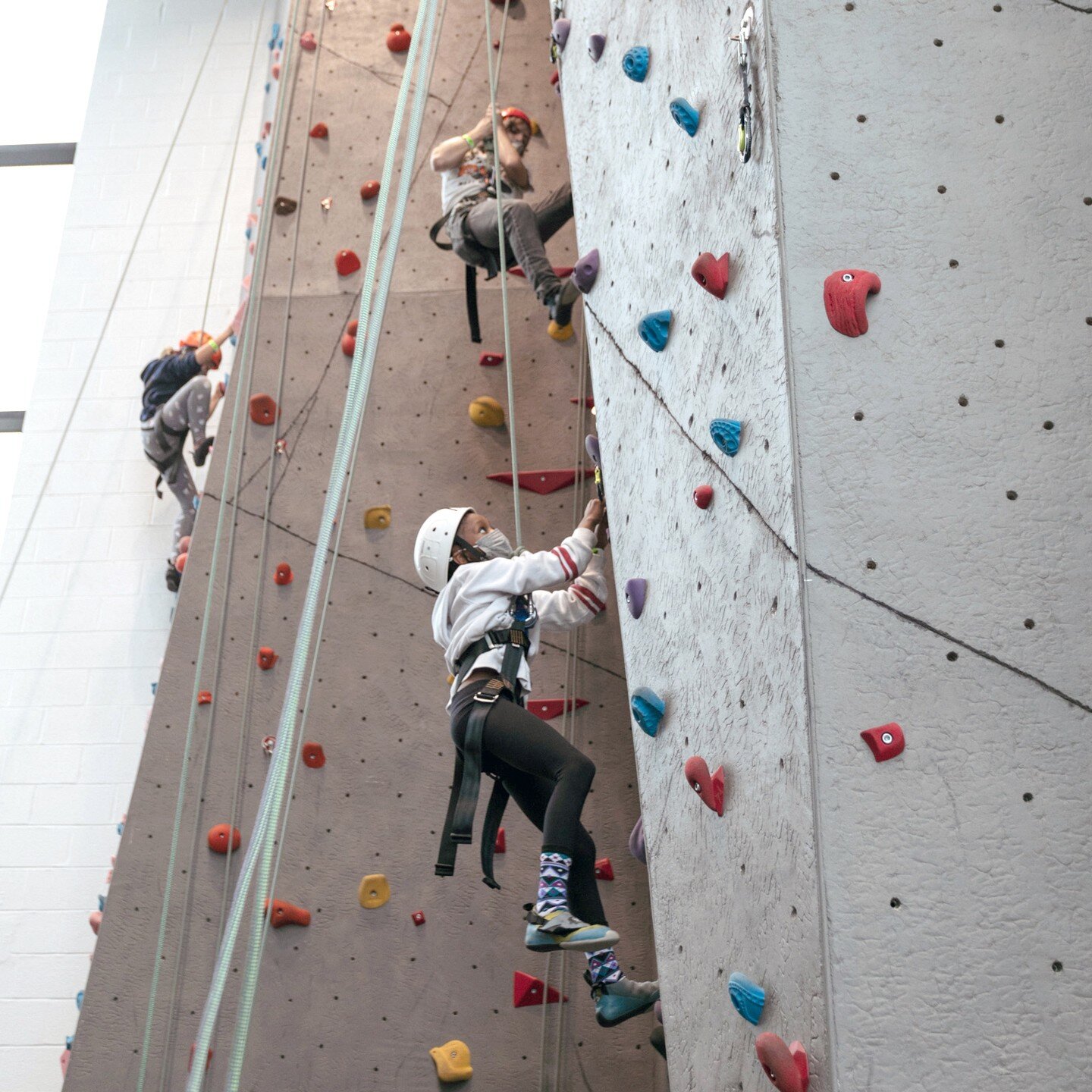 Join us this Saturday, December 2, for an indoor rock climbing Discovery Day!

This event is for Ages 8+ and is first come, first serve until capacity is reached. Registration is onsite. All gear provided. Participants under 18 must have a guardian w