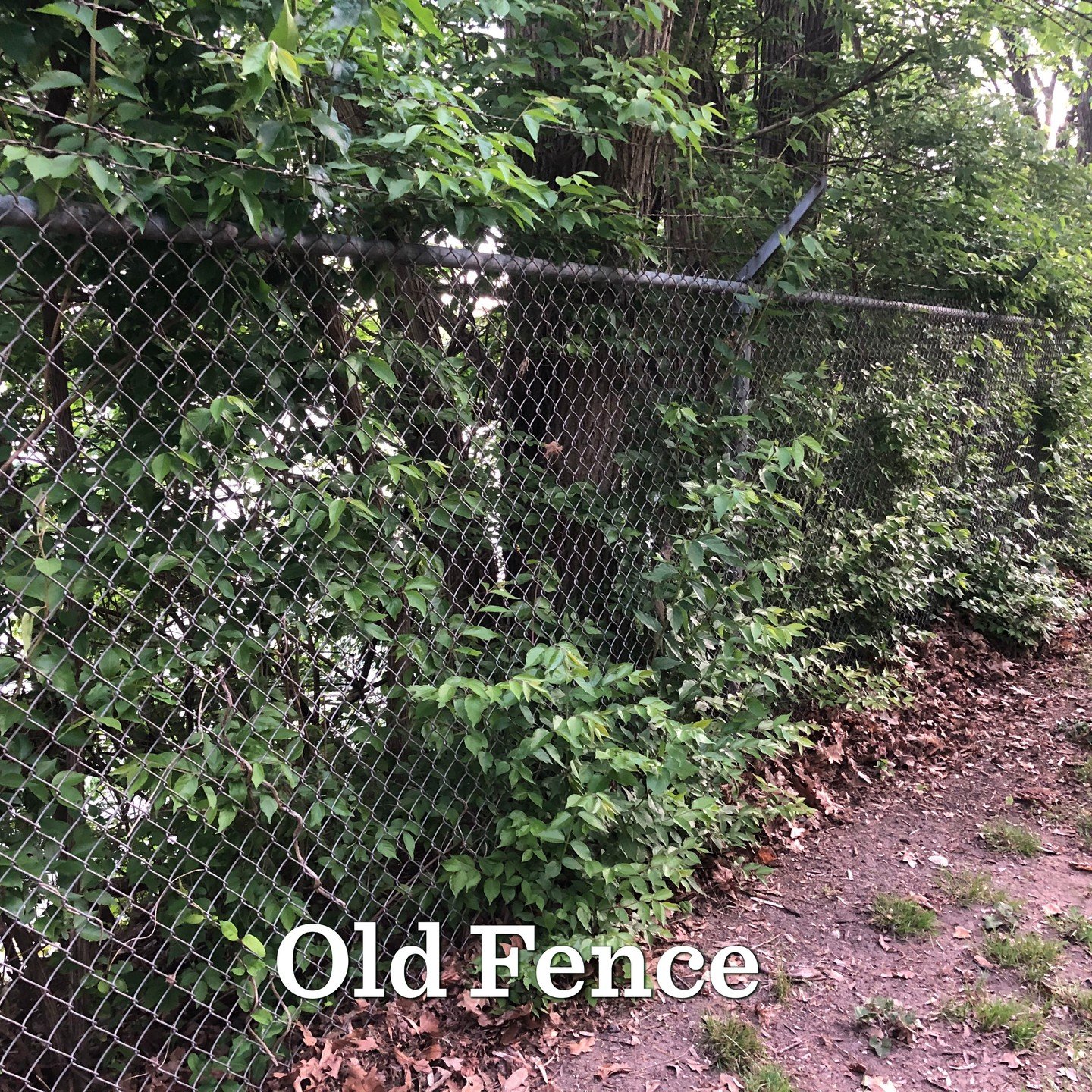 Volunteers needed - help us remove and replace our Reservoir Fence!

The existing chain-link fence has been around since the reservoir was decommissioned in the 1970's. It's high time for it to come down and be replaced with a less visible high-tensi