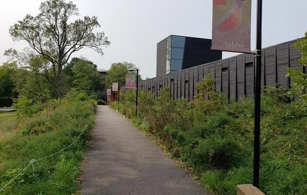 Discover Trees at the Discovery Center