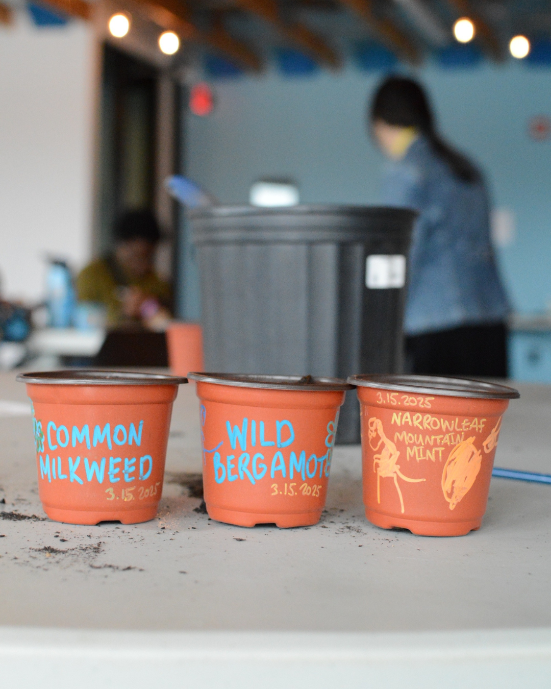 Nature Journaling: Seed Starting