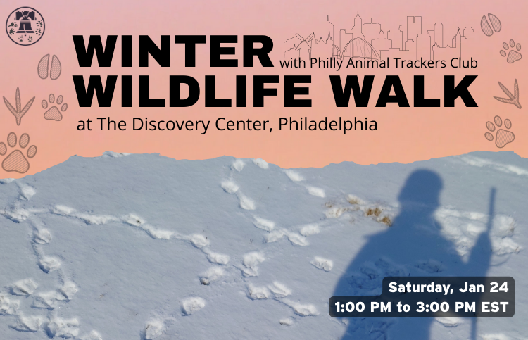 Winter Wildlife Walk with Philly Animal Trackers Club