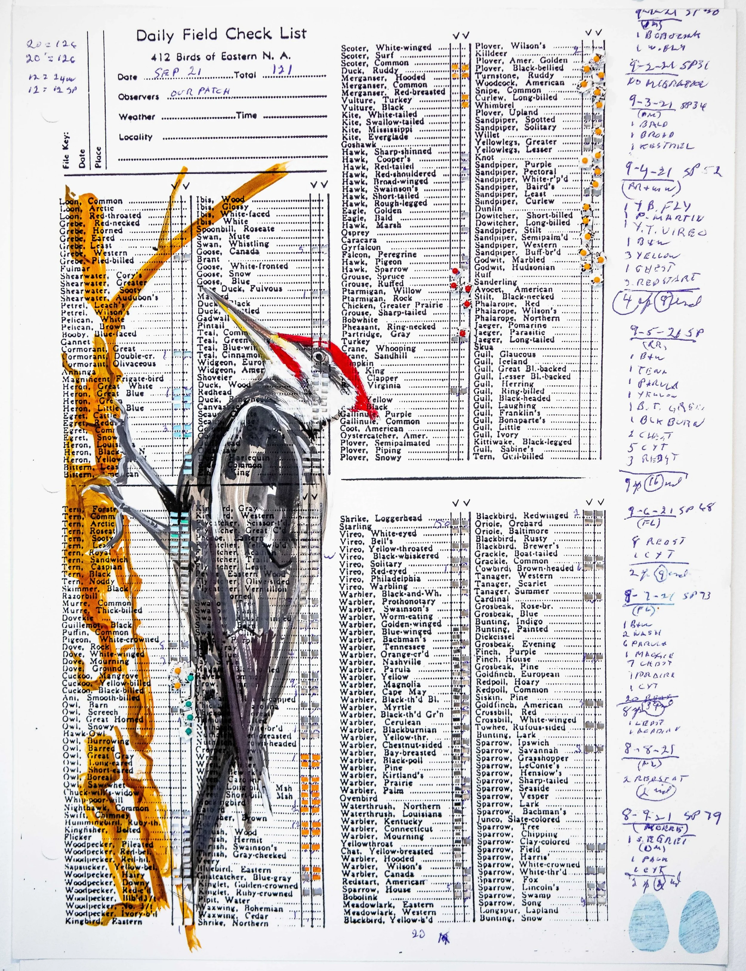 Artist-Guided Nature Journaling