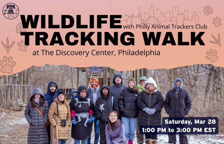Wildlife Tracking Walk