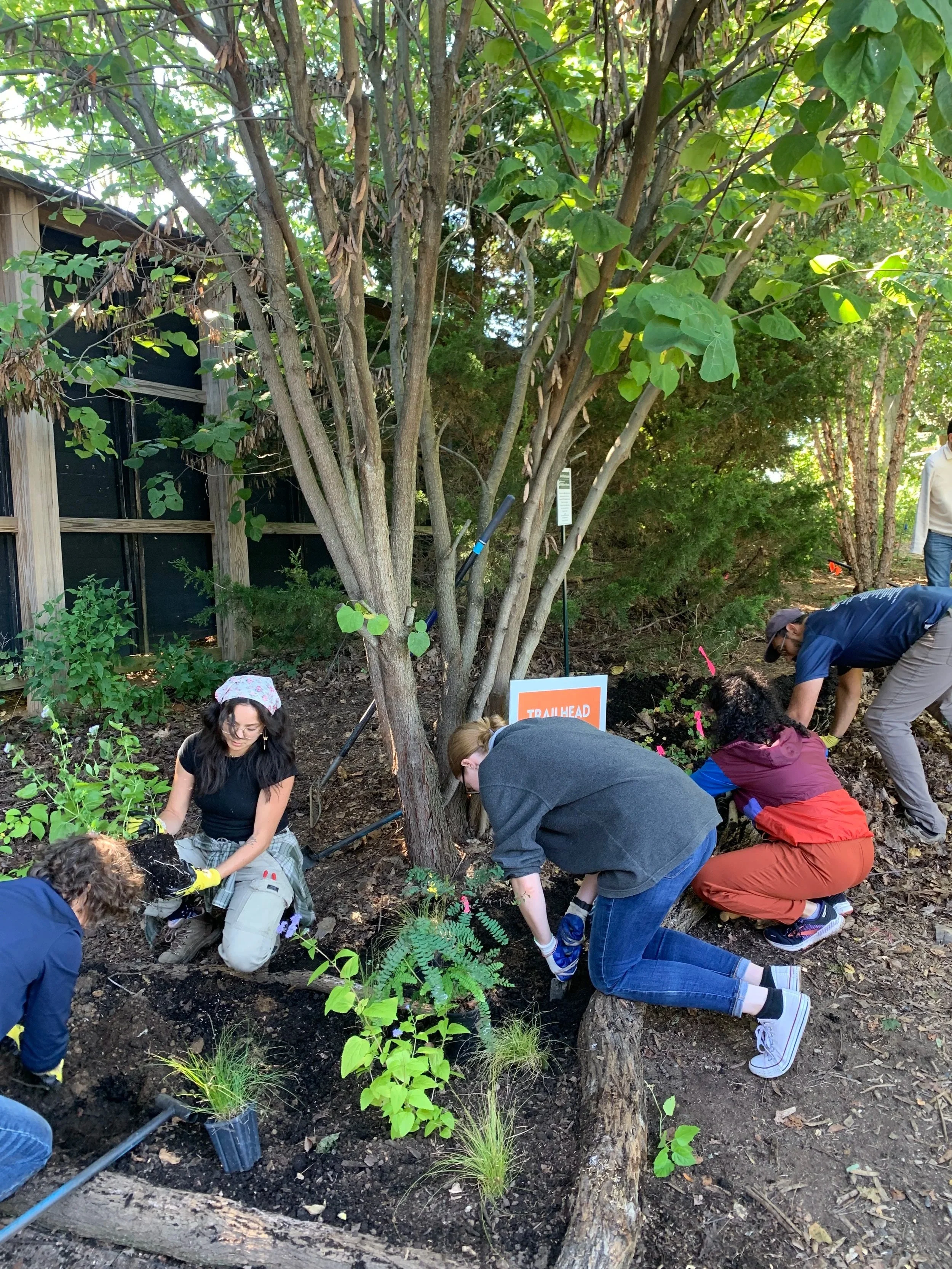 Seed Stewards: Planting Day