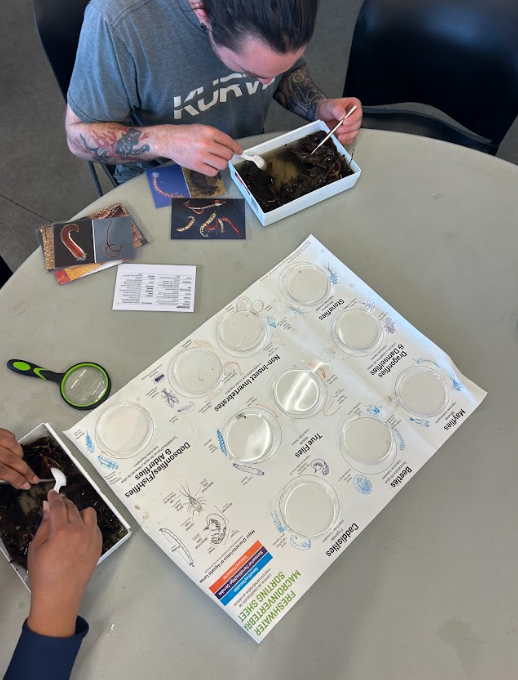 Aquatic Saturday: Fishing Around &amp; Clever Critters