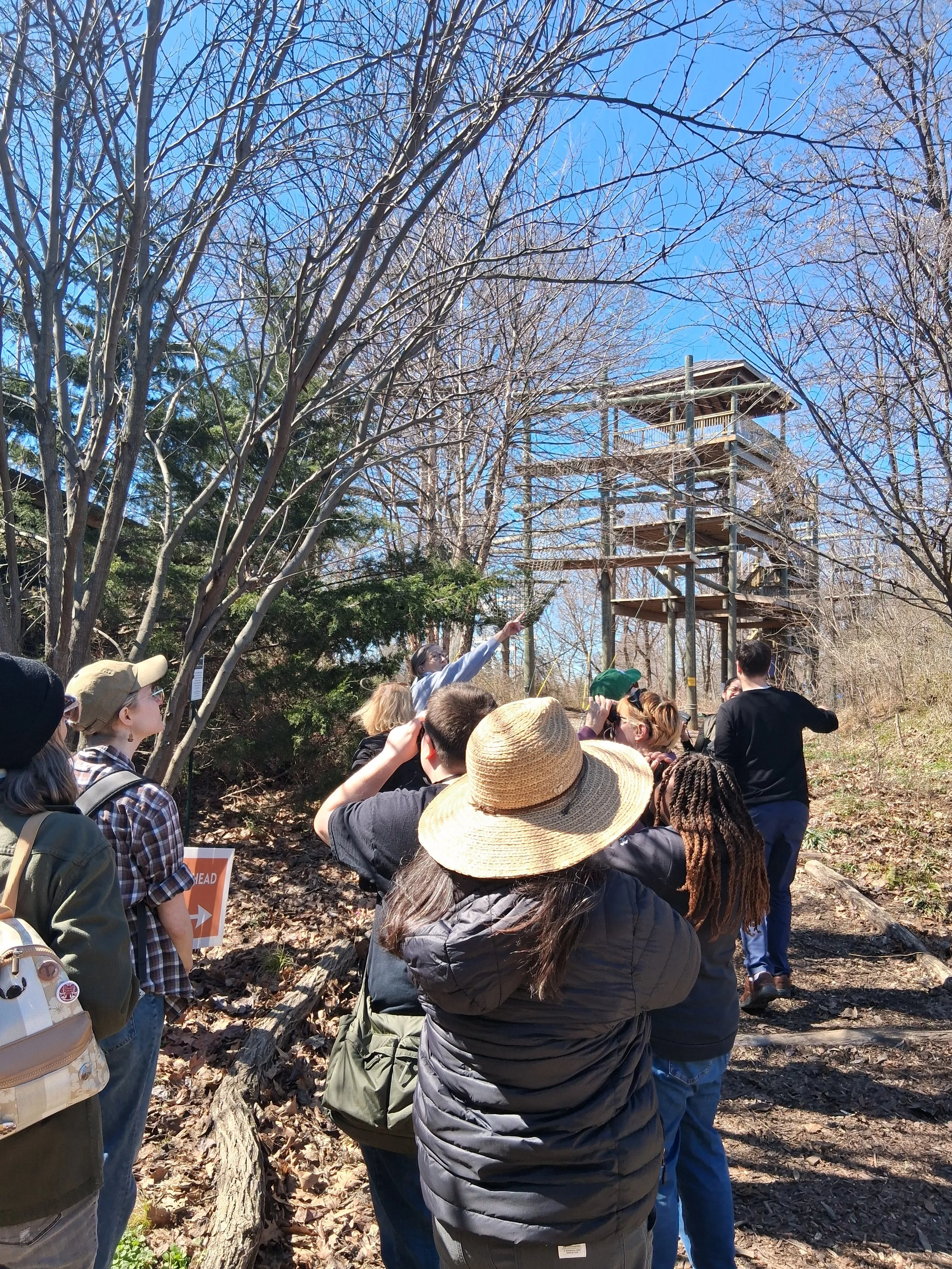 Discover Trees at the Discovery Center