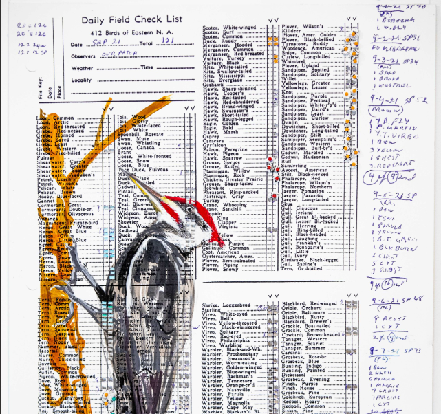 Artist-Guided Nature Journaling