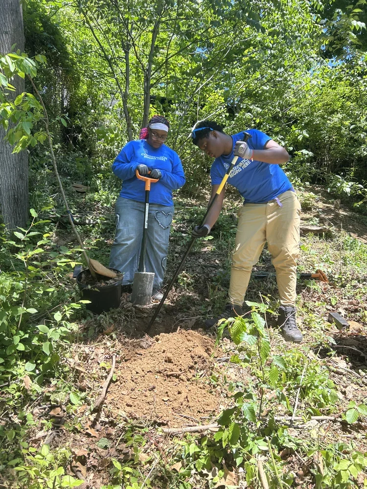 Love Your Park Habitat Enhancement Day