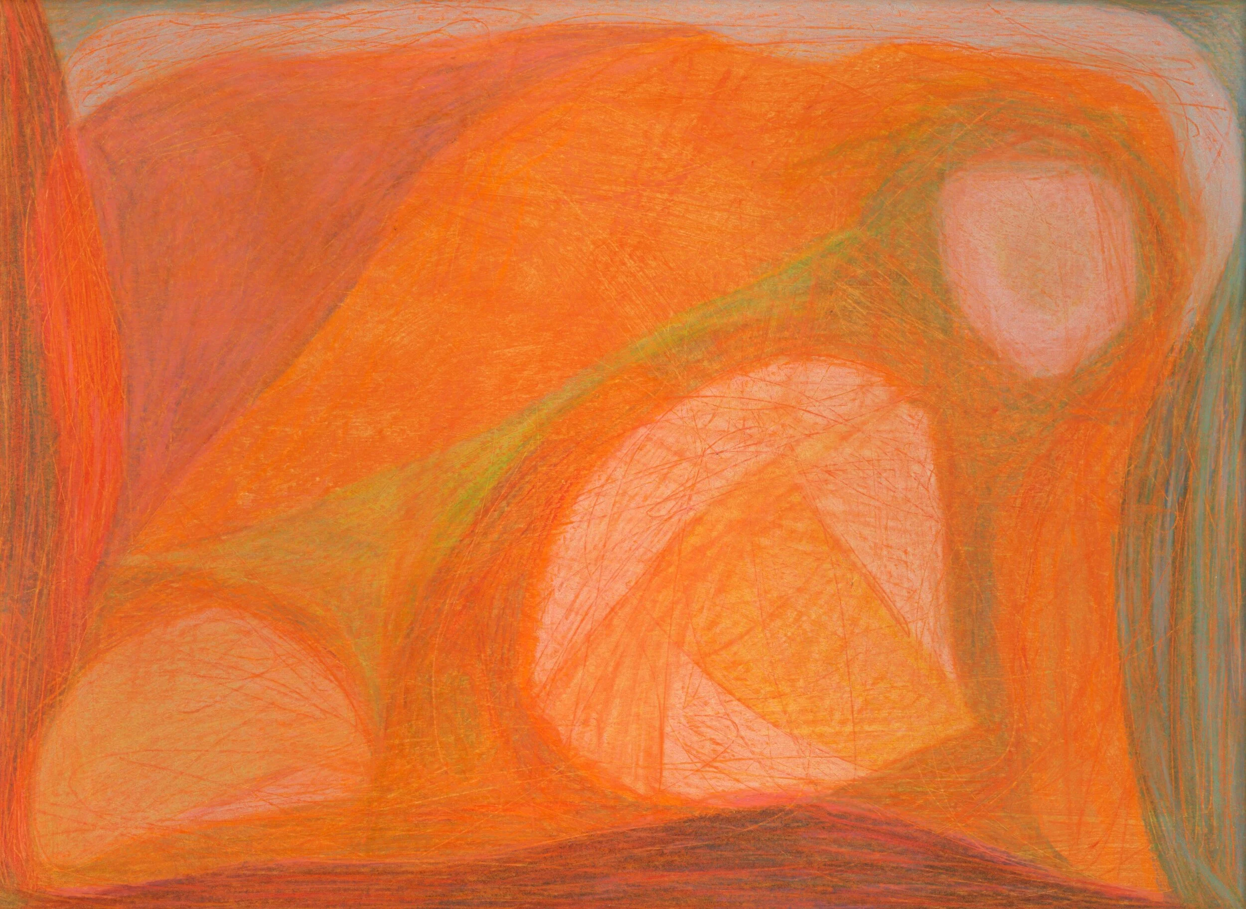 An Animal is also a Home