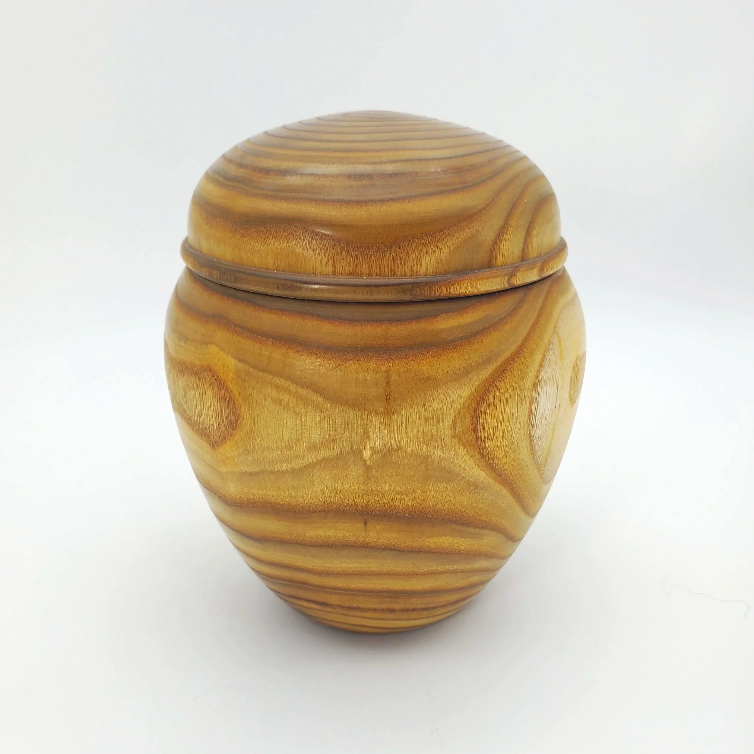 #175 Staghorn Sumac Container