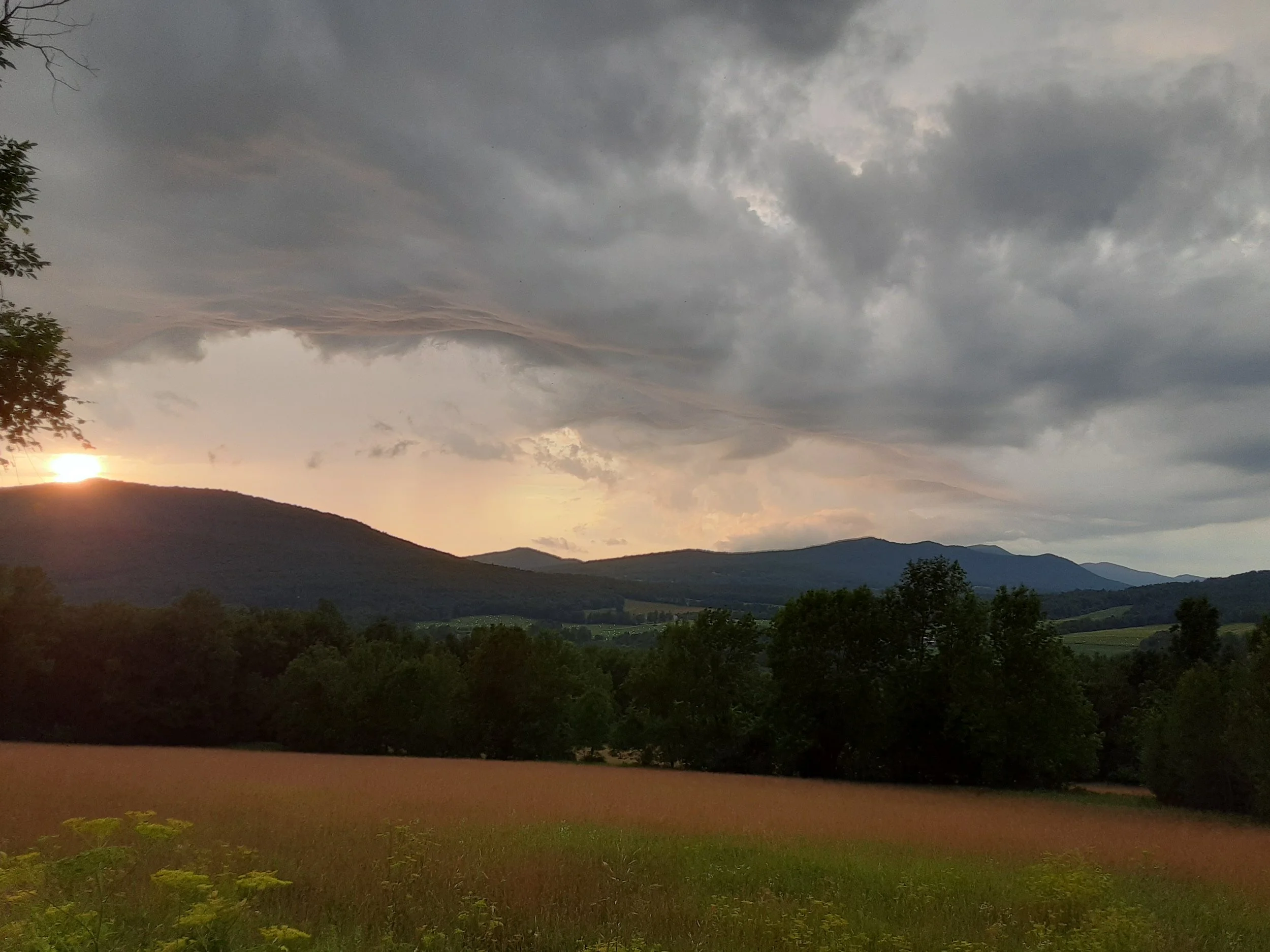 Part 2: Turn toward the Unknown and Lessen Ego