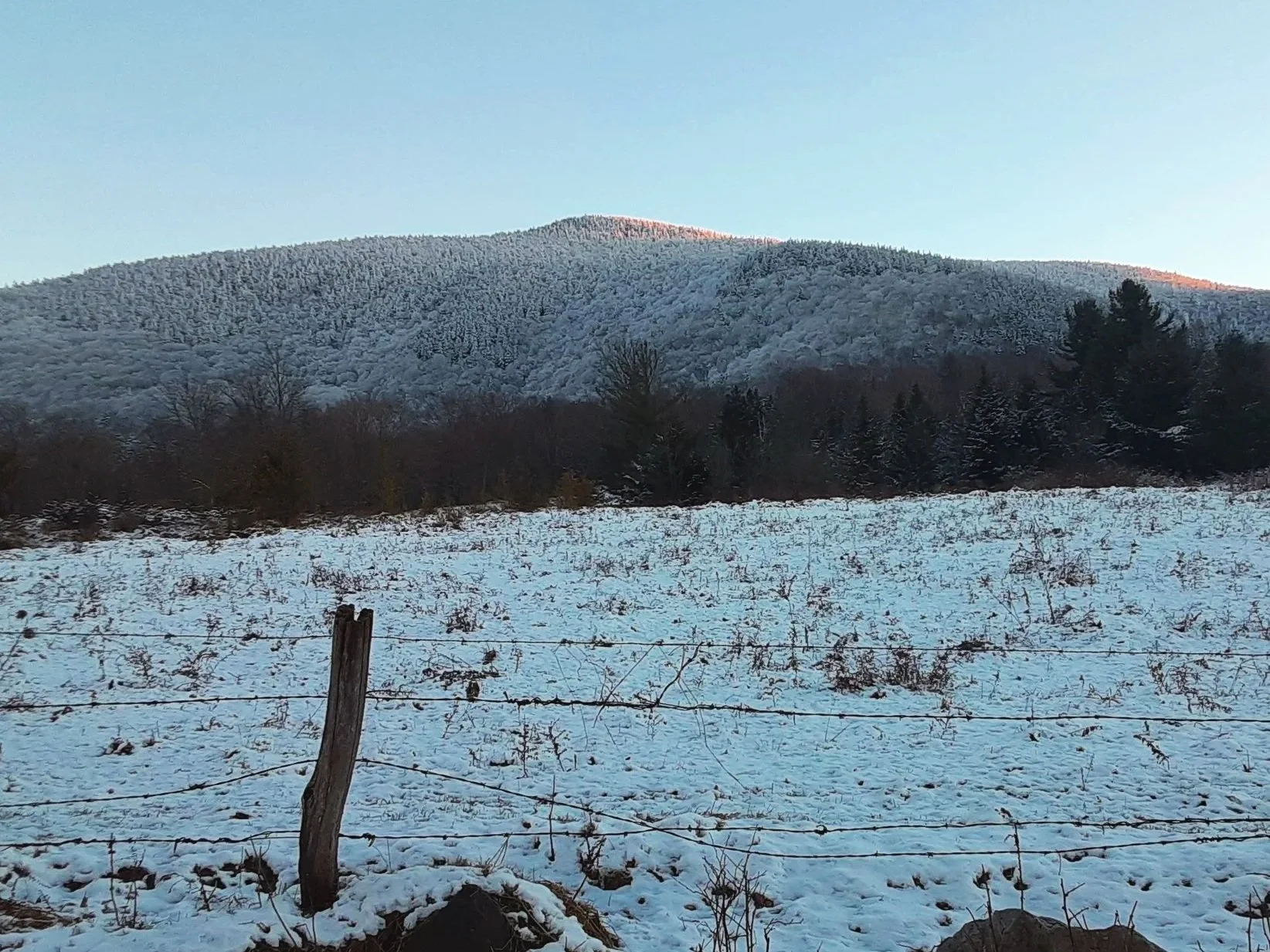 Part 1: Find Strength in Adversity