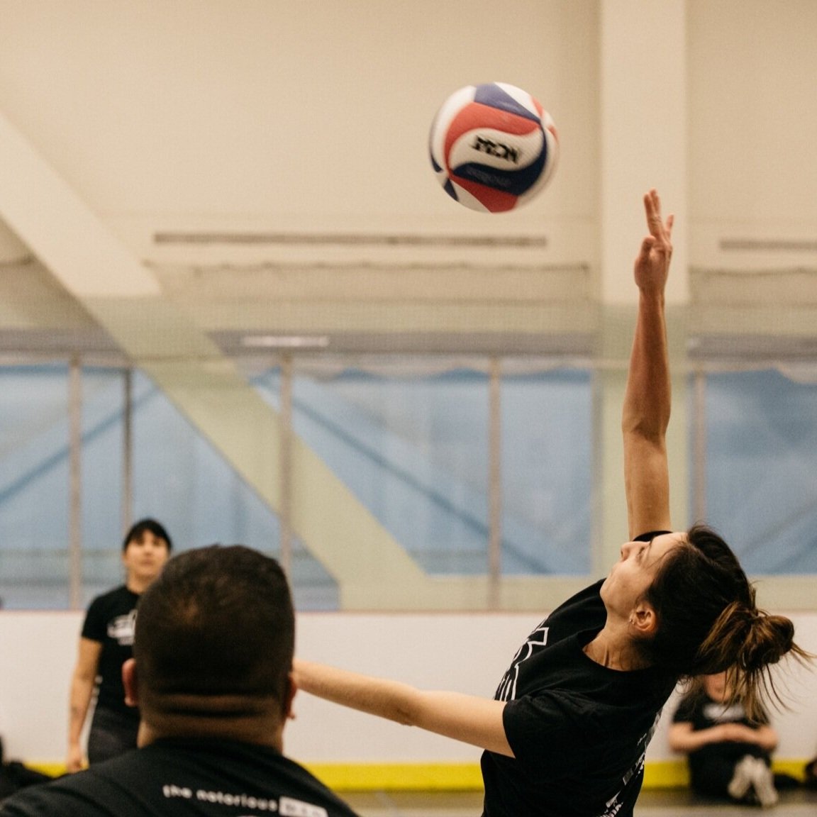 volleyindoor1.jpg