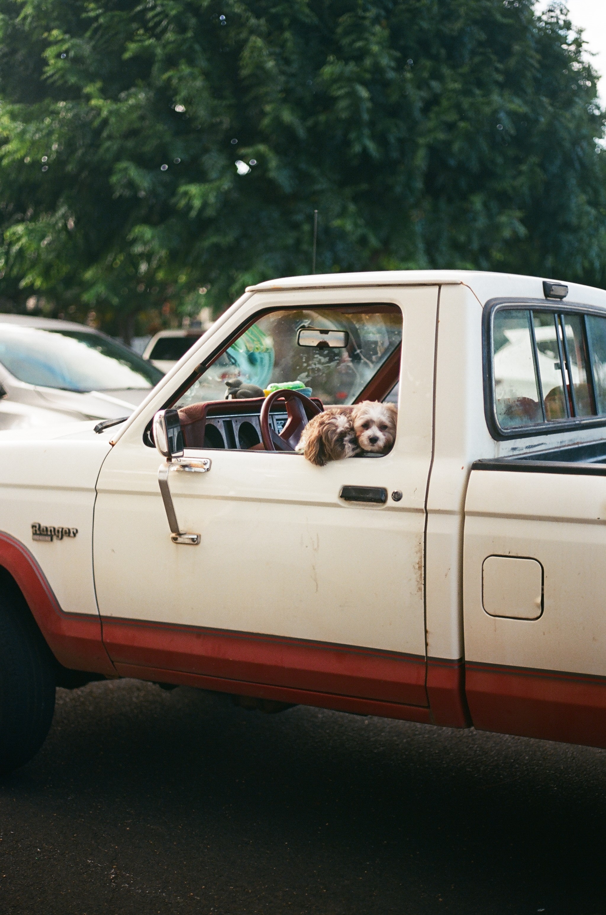 Napili, HI September 2018. Ektar 100 on Canon AE-1