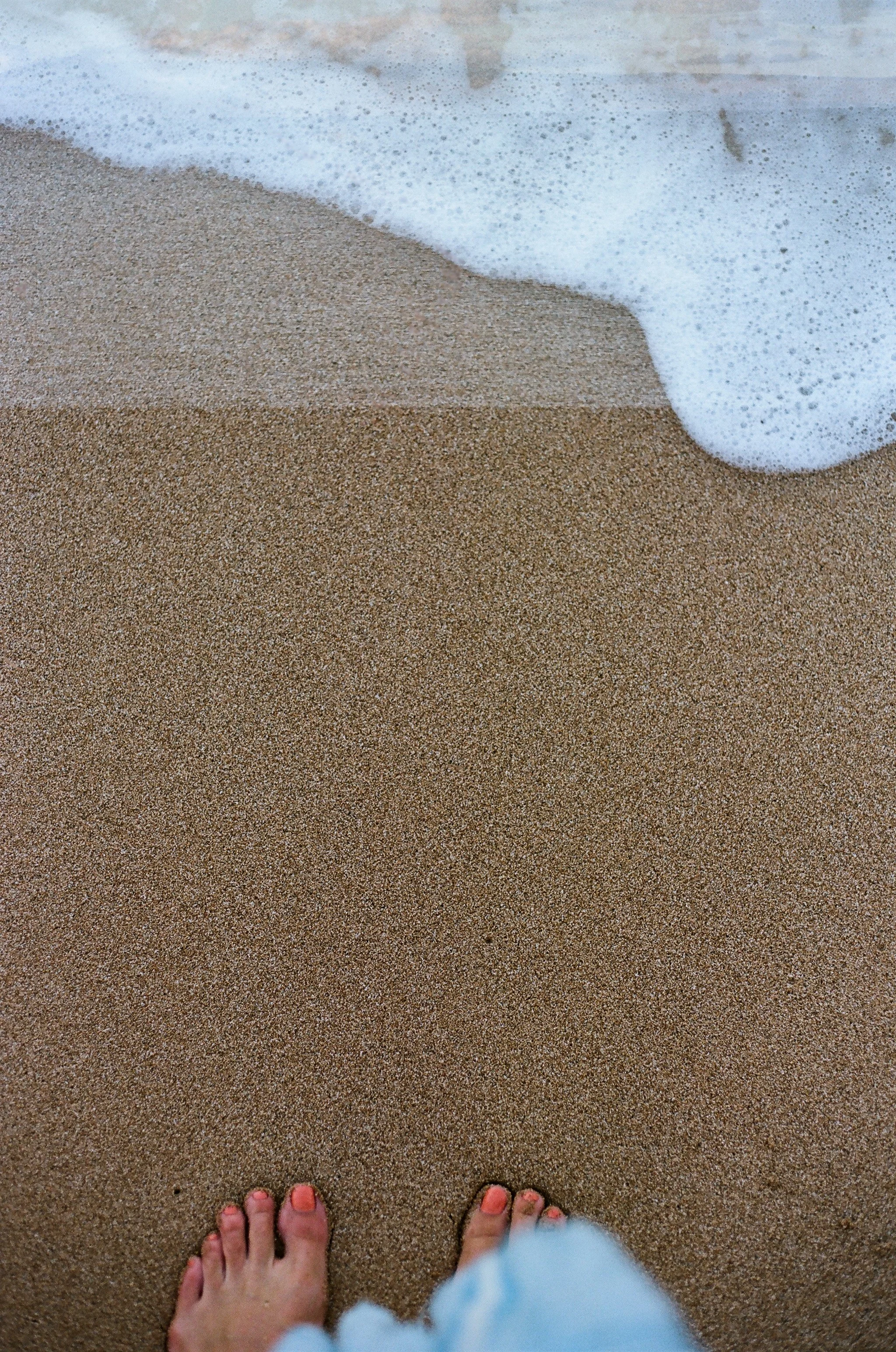 02620036.JPG