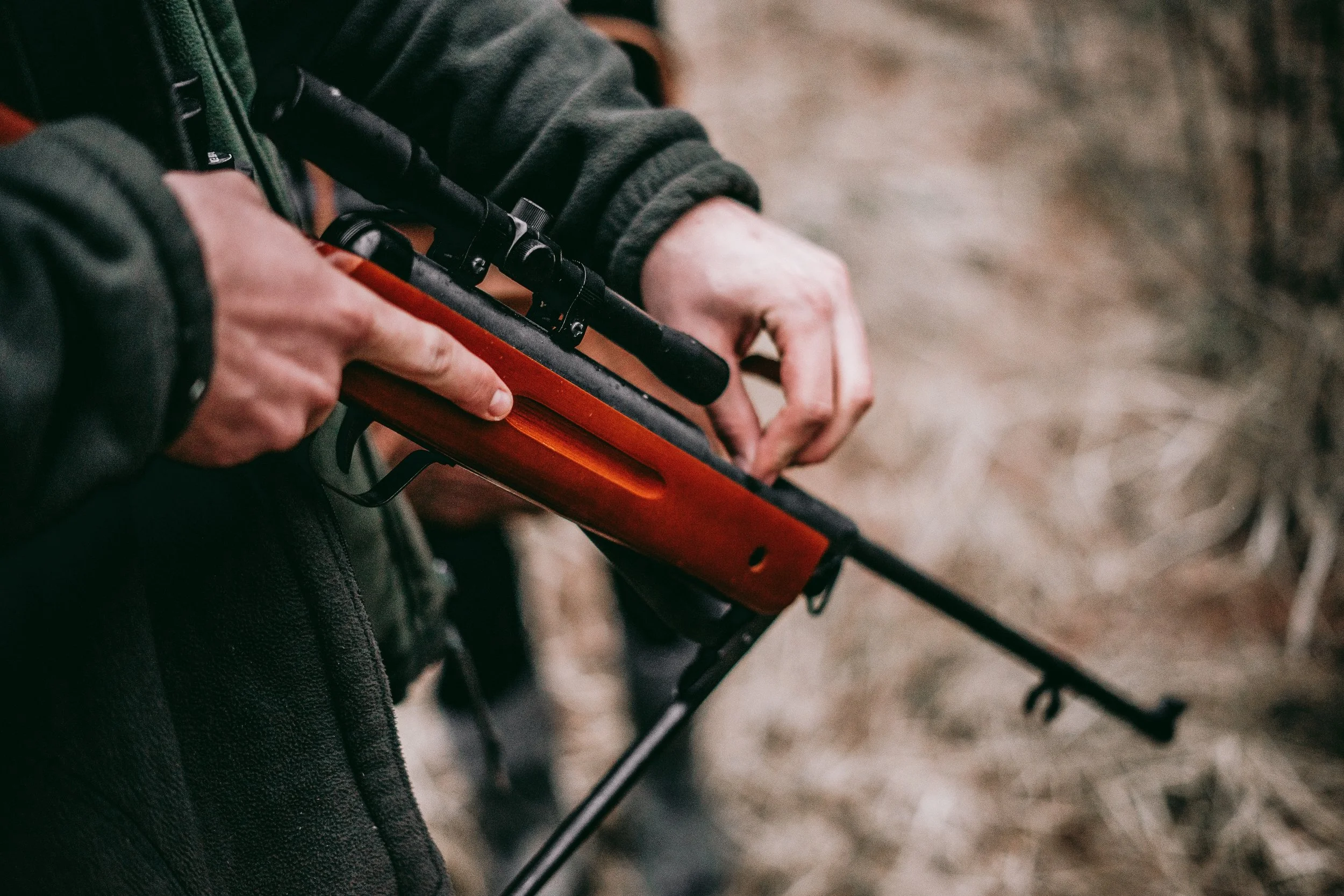 sebastian-pociecha-631796-unsplash (2) copy.jpeg