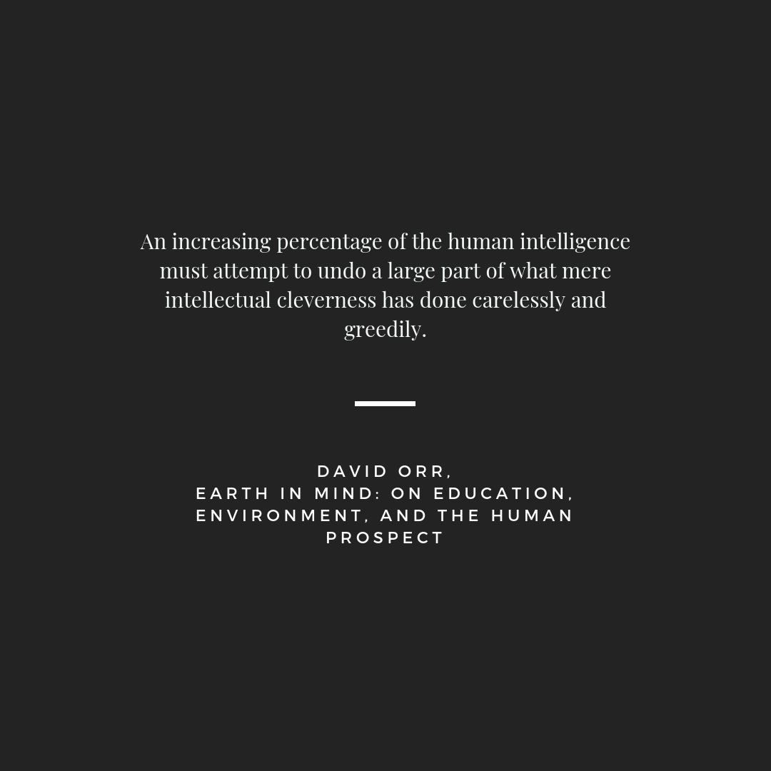 JOHANNA WALLNER EDITORIAL