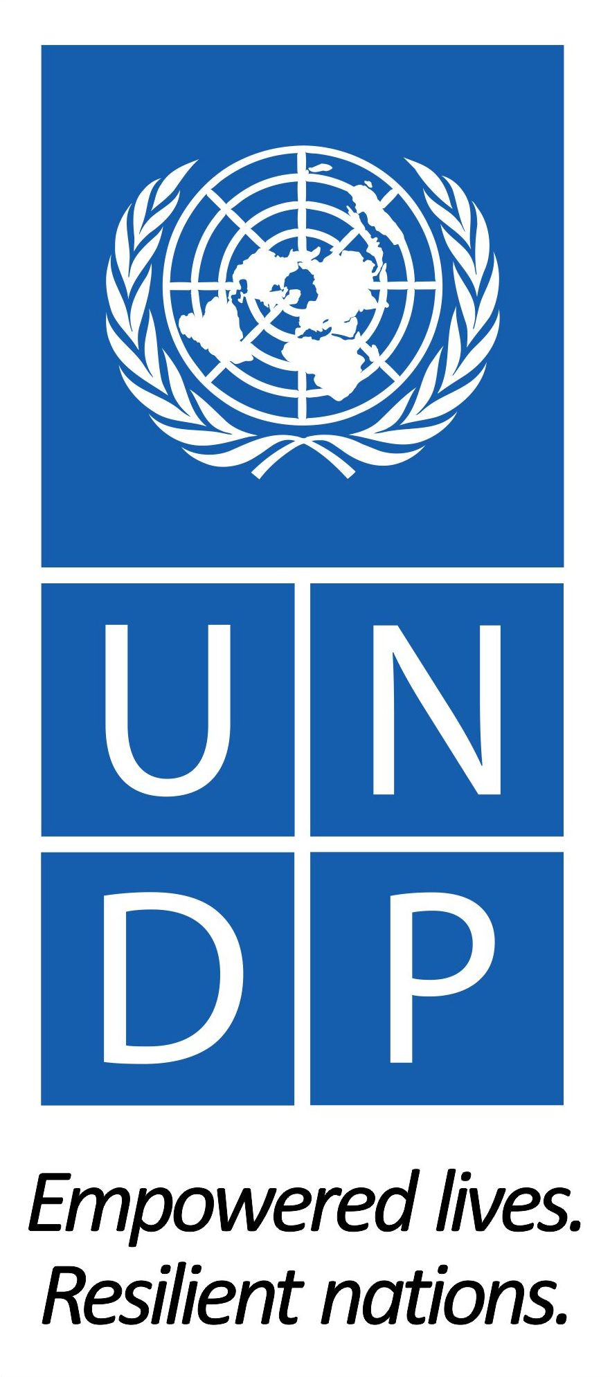 UNDP logo png.png
