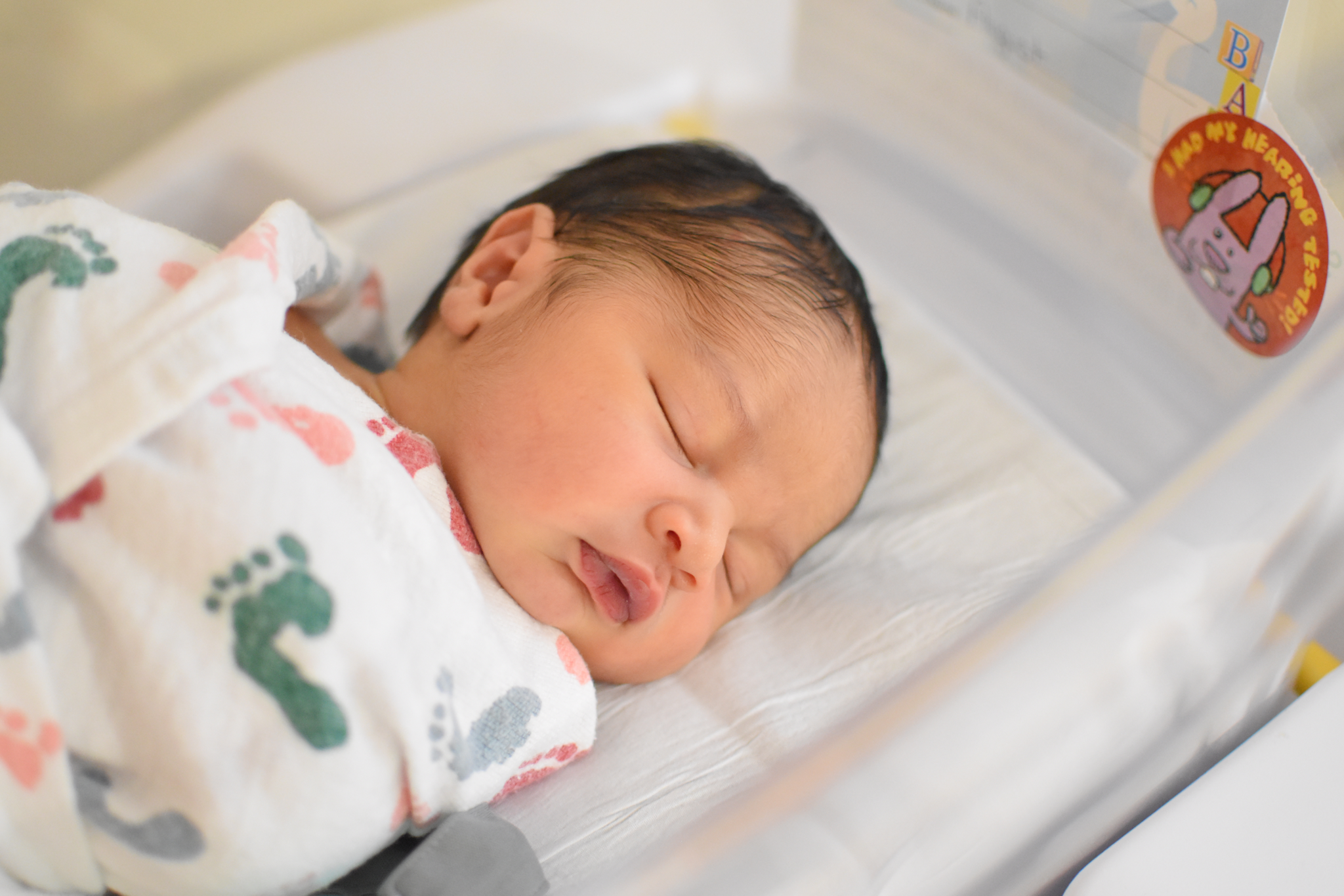 August: two days old 