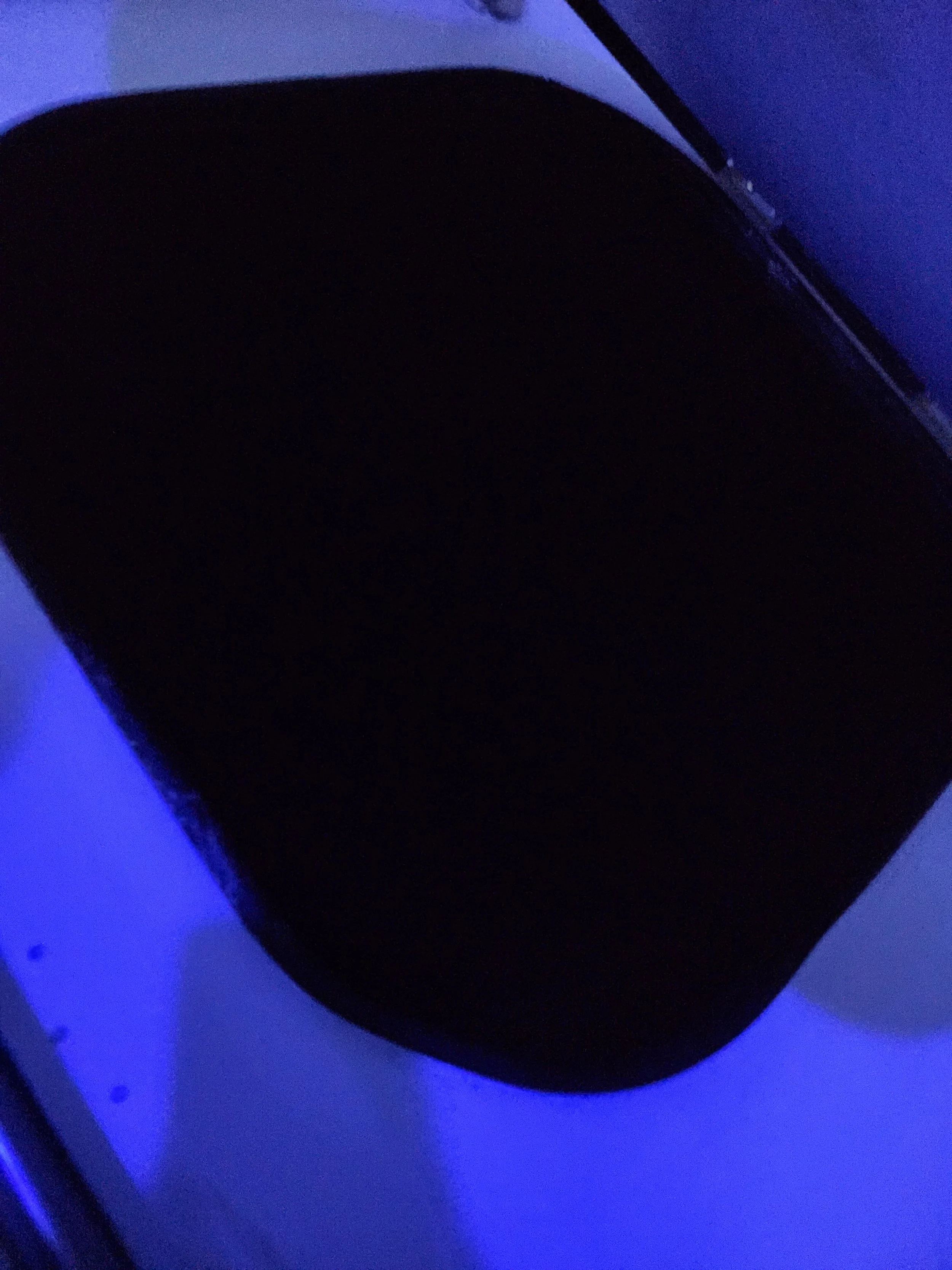 Looking into the tank from the outside….there could be anything in there!