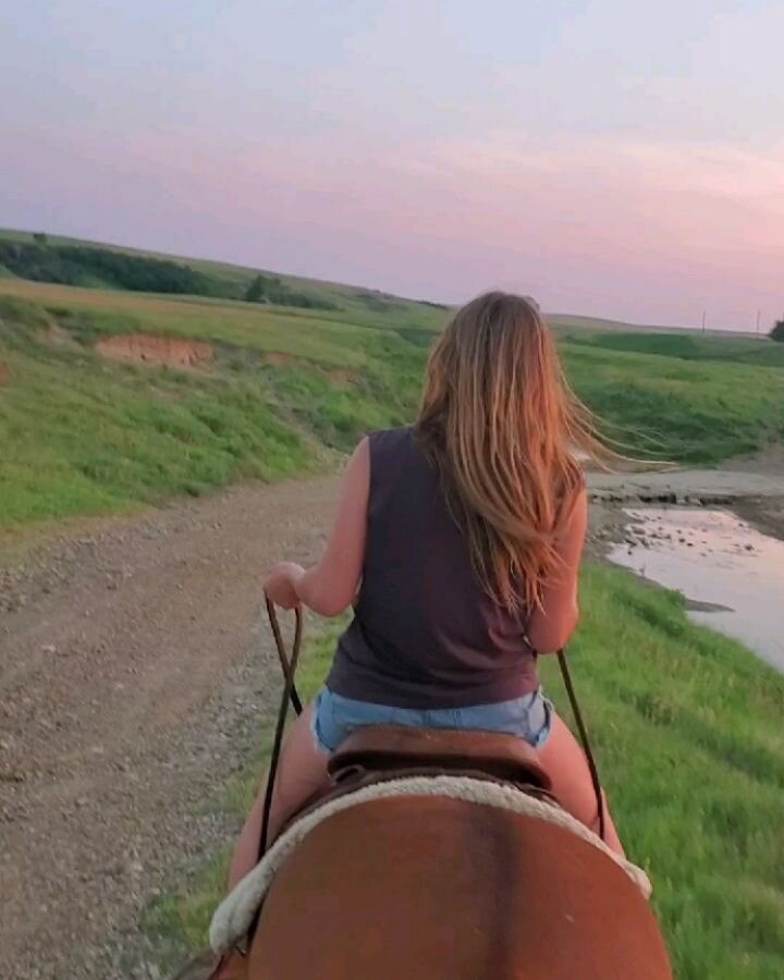 Horses, the river and the sunset 🐎🌊🌅