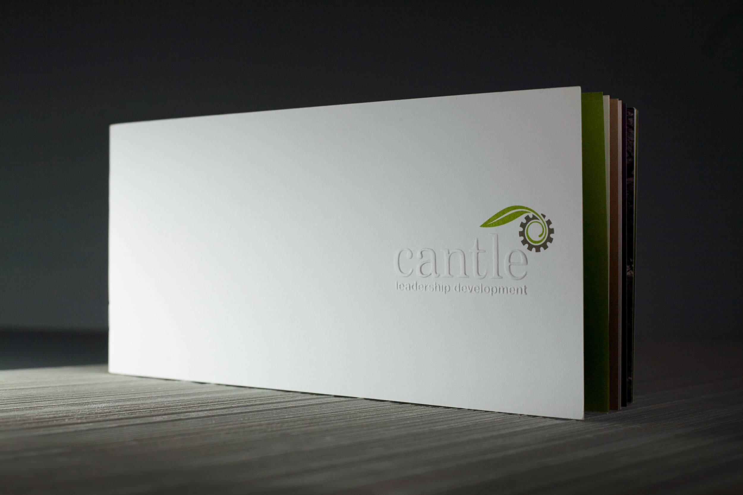 Cantle_brochure-1.jpg