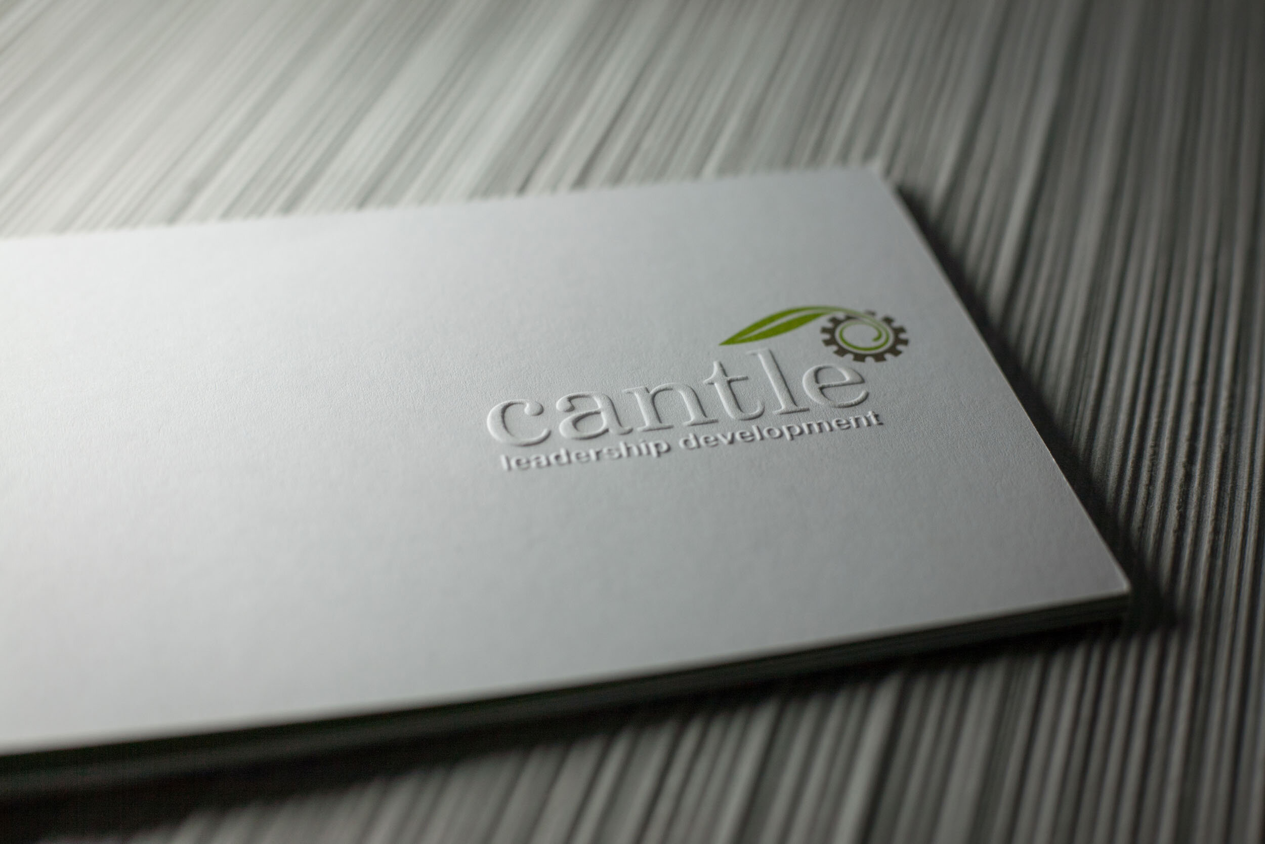 Cantle_brochure-2.jpg