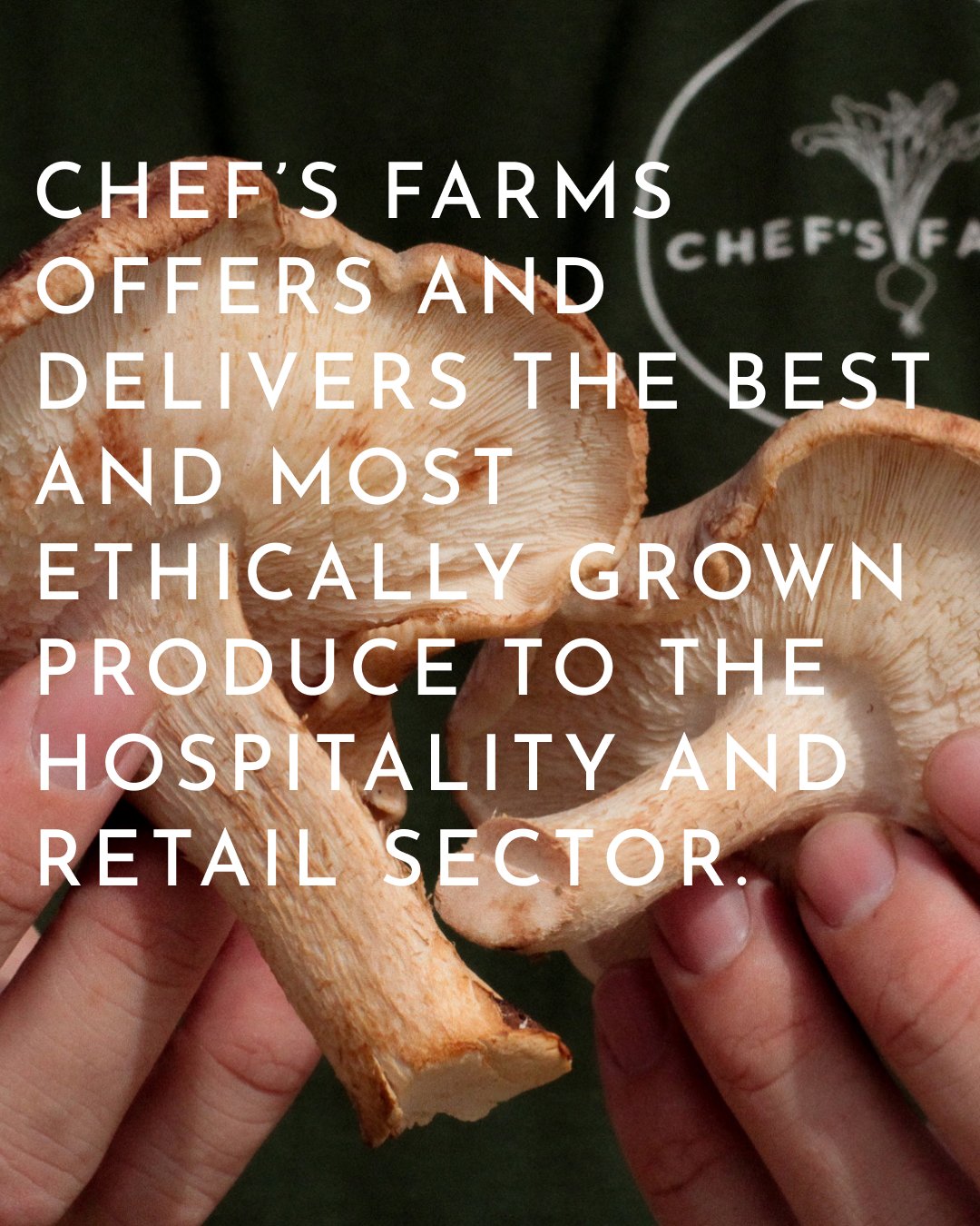 CHEF'S FARMS offers and delivers the best and most ethically grown produce to the hospitality and retail sector.

#shoplocal #freshproduce #food #fresh #supportsmallbusiness #farmtotable #local #buylocal #eatfresh #farm #farming #foodstagram #shoploc