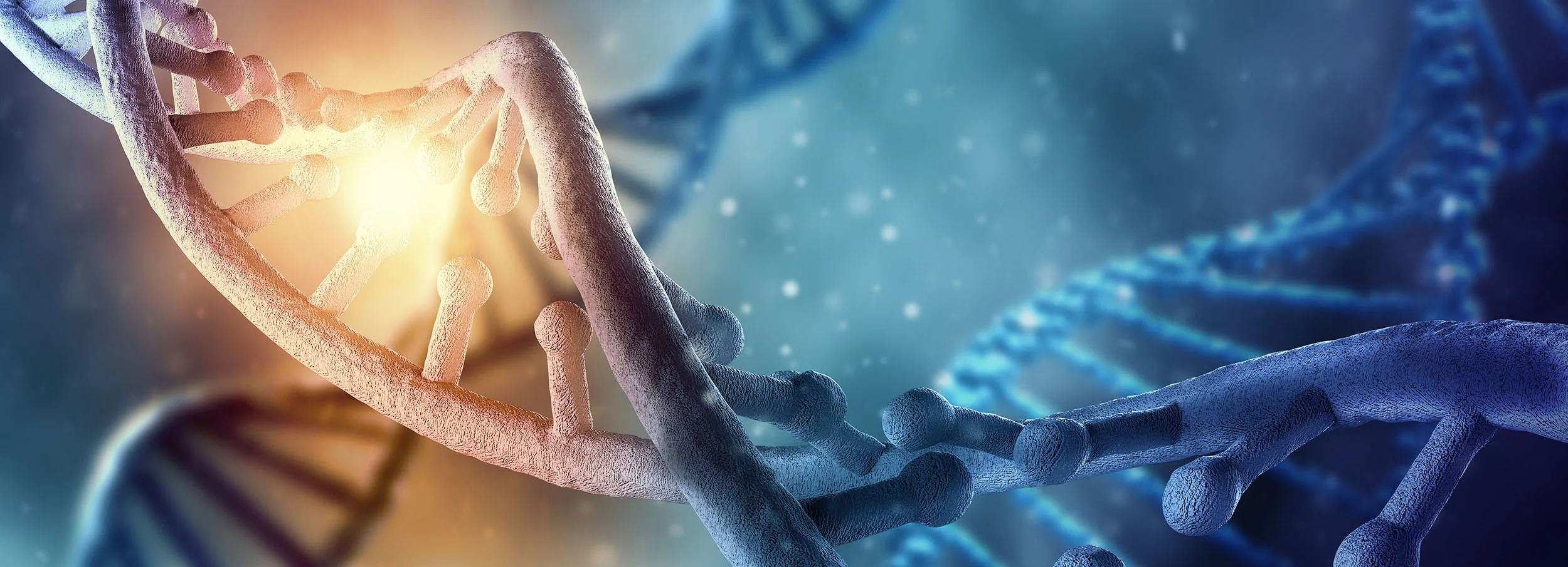 DNA-website-cropped.jpg