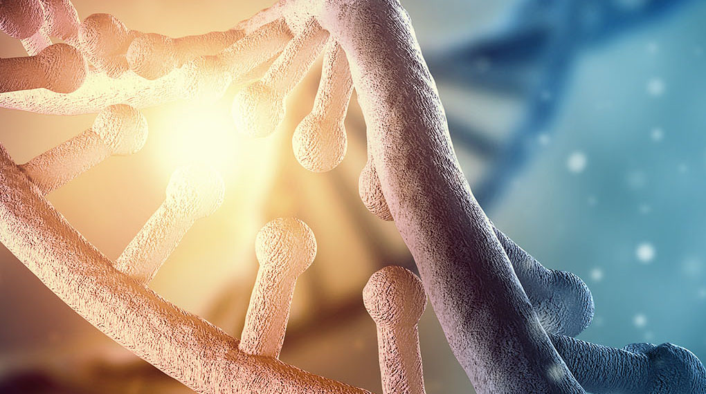 DNA-website-cropped-small-1.jpg