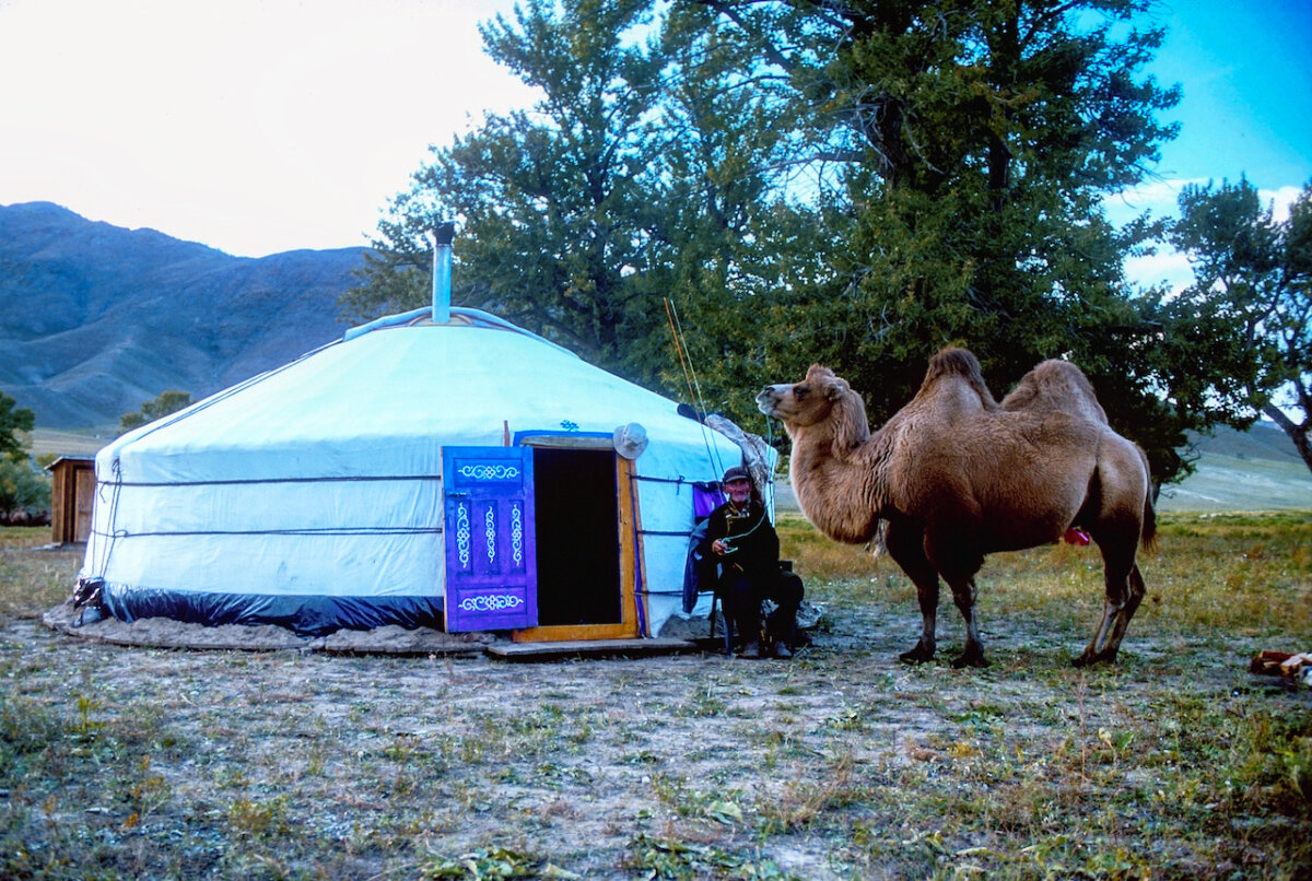 Mongolia Taimen Camps_105.jpg