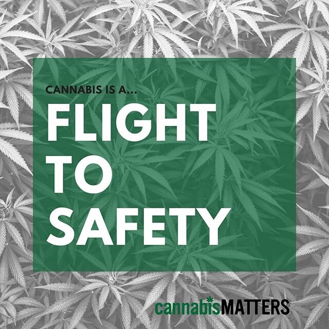 Find your safe place in these cautionary times. Cannabis can help 🌿☮ #cannabismatters
#flighttosafety #safehaven&nbsp;#riskaverse