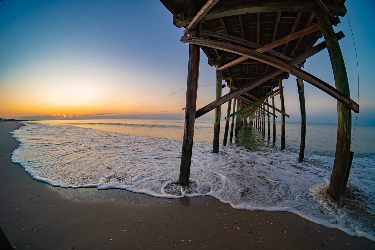 Sea Turtle Nesting and Hatching at Ocean Isle Beach