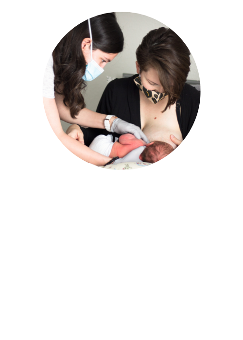 Lactation support (1).png