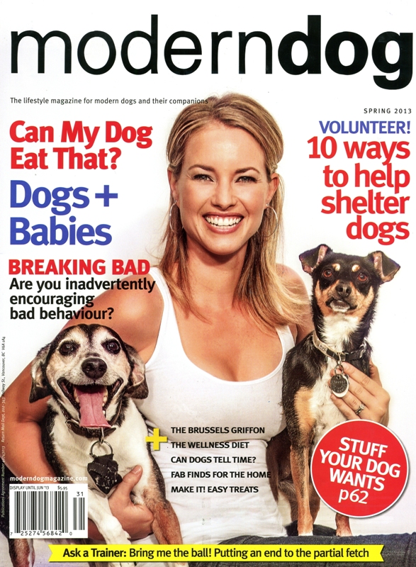 CSB MODERN DOG Cover.jpg