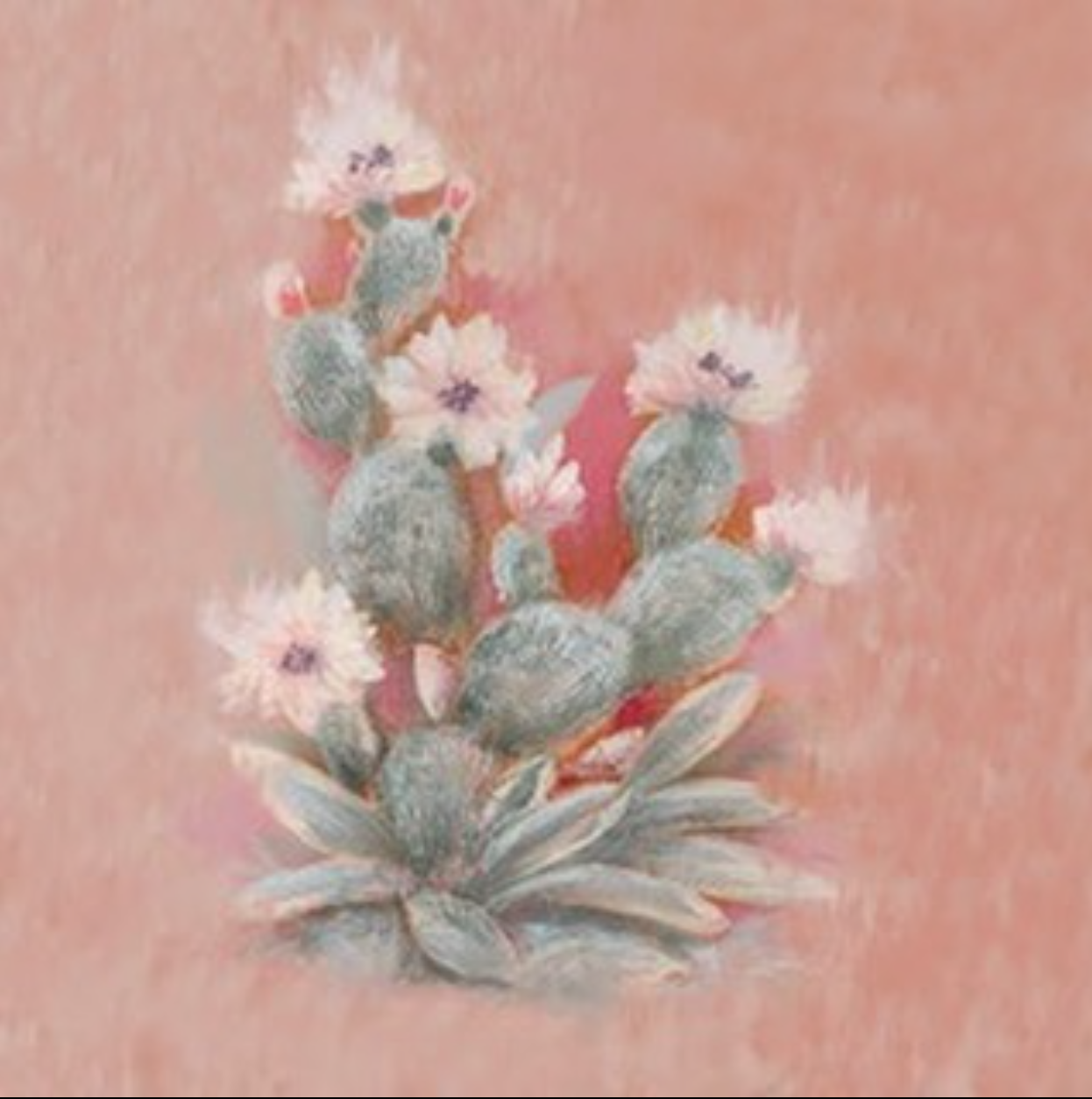 BEAMS–"Cactus"