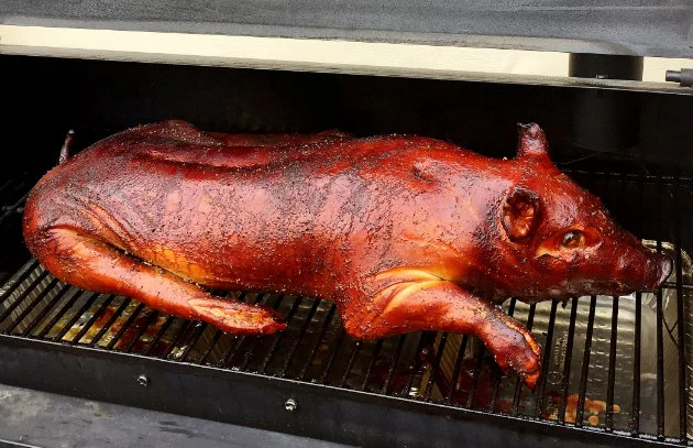pig-22-630x407.jpg