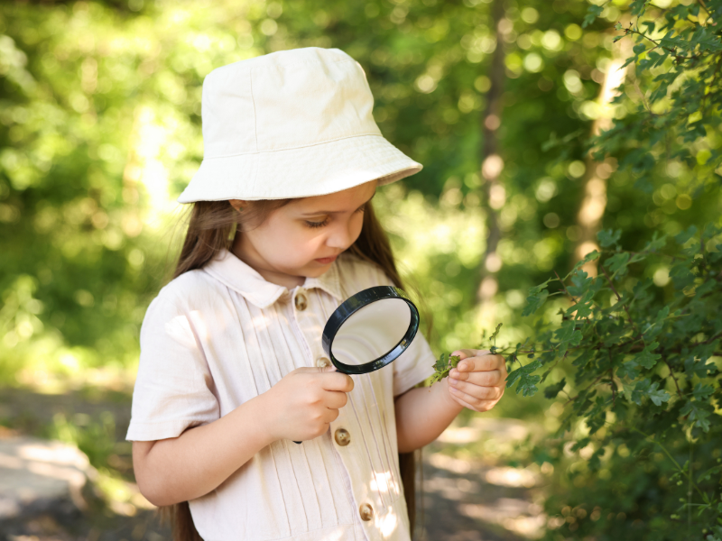 How to Do a Green Audit of Your Home With Your Kids (A Simple but Fun Guide for Families)