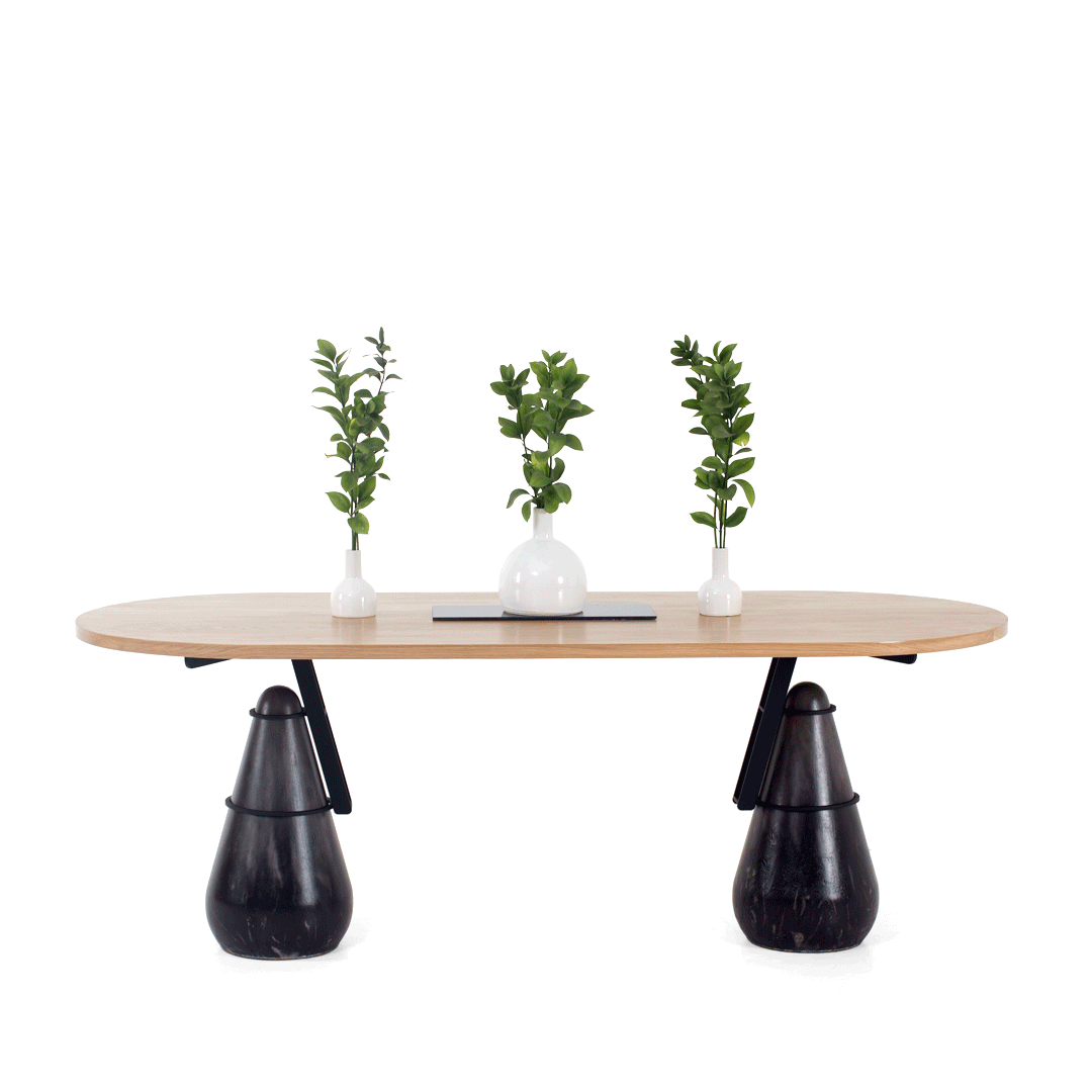 5 - ambassador 3.gif