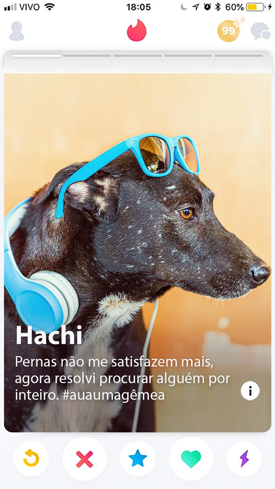 Hachi